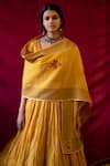 Shop_Nini Mishra_Yellow Silk Organza Embroidered Dupatta _at_Aza_Fashions