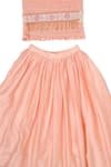 Little Luxury_Pink Chanderi Sequins, Embroidery Lehenga Set _Online_at_Aza_Fashions