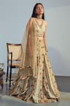 Drishti & Zahabia_Beige Dupatta Net Lehenga And Blouse Dupion Silk Embroidery V Panelled Set _Online_at_Aza_Fashions