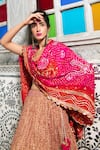 Shop_Etasha by Asha Jain_Gold Gajji Silk Textured Tissue Lehenga Set_at_Aza_Fashions