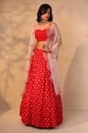 Buy_Esha Koul_Red Organza Sweetheart Neck Printed Lehenga Set _at_Aza_Fashions