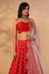 Esha Koul_Red Organza Sweetheart Neck Printed Lehenga Set _at_Aza_Fashions