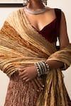 Shop_Etasha by Asha Jain_Maroon Gota Tissue Printed V Neck Textured Lehenga Set _at_Aza_Fashions