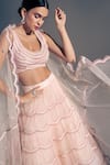 Shloka Sudhakar_Pink Organza, Net Scallop U Neck Embroidered Lehenga Set _Online_at_Aza_Fashions