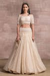 Tarun Tahiliani_Gold Lehenga Handloom Blouse Fluted Chiffon And Tulle Embroidery Round & Set _Online_at_Aza_Fashions