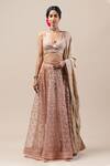 Buy_Tarun Tahiliani_Pink Silk Chiffon V Neck Chikankari Lehenga Set _at_Aza_Fashions