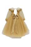 Shop_Fayon Kids_Gold Applique Flared Gown For Girls_Online_at_Aza_Fashions