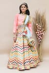 Buy_Fayon Kids_Pink Organza, Silk, Net Embroidery, Sequins, Tassels Lehenga Set _at_Aza_Fashions