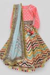 Fayon Kids_Pink Organza, Silk, Net Embroidery, Sequins, Tassels Lehenga Set _Online_at_Aza_Fashions