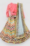 Buy_Fayon Kids_Pink Organza, Silk, Net Embroidery, Sequins, Tassels Lehenga Set _Online_at_Aza_Fashions