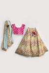 Fayon Kids_Pink Silk, Net, Organza Sequins, Embroidery, Lace Lehenga Set _Online_at_Aza_Fashions