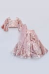 FAYON KIDS_Peach Net And Organza Embroidery Sequin Lehenga Set _Online_at_Aza_Fashions