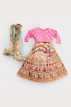 Fayon Kids_Pink Silk, Cotton, Net Embroidery, Sequins, Gota Patti Striped Lehenga Set _Online_at_Aza_Fashions