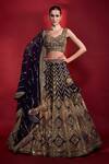 Buy_Angad Singh_Blue Lehenga And Blouse Organza Dupatta Net Embroidery Leaf Neck Bridal Set _at_Aza_Fashions