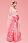 Nachiket Barve_Pink Lehenga And Blouse Organza V Neck Embroidered Set _Online_at_Aza_Fashions