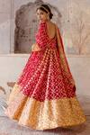 Shop_Gulabo Jaipur_Red Organza, Georgette Gota Patti Mallika Embroidered Anarkali With Dupatta _Online_at_Aza_Fashions
