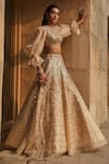 Pankaj & Nidhi_Beige Blouse Tulle Embroidery Round Hand Embellished Lehenga Set  _Online_at_Aza_Fashions