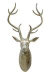 Cocovey Homes_Gold Alloy Deer Wall Head_Online_at_Aza_Fashions