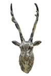 Cocovey Homes_Gold Alloy Deer Wall Head _Online_at_Aza_Fashions