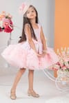 Hoity Moppet_Pink And Tulle Embellished Fit & Flare Dress _Online_at_Aza_Fashions