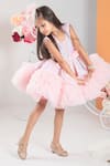 Hoity Moppet_Pink And Tulle Embellished Fit & Flare Dress _at_Aza_Fashions