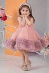 Hoity Moppet_Pink Tulle, Satin Rhinestones Angel Embellished Dress_Online_at_Aza_Fashions