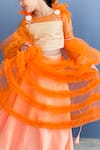 Buy_Pinkcow designs pvt ltd_Orange Net, Crepe, Brocade Pearls, Feathers Embellished Top And Frill Lehenga Set _Online_at_Aza_Fashions