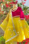 Tiny Pants_Yellow Organza And Velvet Embroidery Leaf Flower Vine Lehenga Set _Online_at_Aza_Fashions