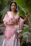 Chhaya Mehrotra_Pink Lehenga Handwoven Chanderi Blouse And Dupatta Silk Organza V Neck Set _at_Aza_Fashions