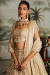 Sahil Kochhar_Grey Organza Embellishment 3d Applique Work Ira Bridal Lehenga Set  _Online_at_Aza_Fashions