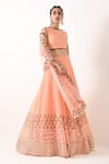 Shop_Pooja Rajgarhia Gupta_Pink Georgette Embroidery Boat Printed Lehenga Set _at_Aza_Fashions