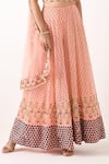 Shop_Pooja Rajgarhia Gupta_Pink Net, Georgette Round Printed Gharara Set _Online_at_Aza_Fashions
