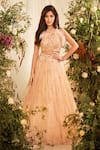 Buy_Shivani Awasty_Pink Embroidery Stripe Feather Embellished Blouse Lehenga Set _at_Aza_Fashions