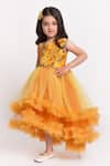 Jelly Jones_Yellow Net Embellished 3d Floral And Stone Gown _Online_at_Aza_Fashions