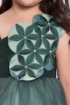 Buy_Jelly Jones_Green Net Embellished 3d Floral And Stone Gown _Online_at_Aza_Fashions