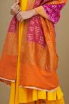 Shop_Samyukta Singhania_Purple Handloom Banarasi Silk Dupatta_Online_at_Aza_Fashions