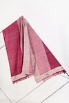 Jatin Malik_Pink Embroidered Colorblock Pashmina Shawl _Online_at_Aza_Fashions