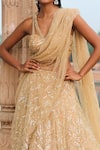 Jigar Mali_Gold Butterfly Net Woven And Embellished Lehenga & Draped Blouse Set  _Online_at_Aza_Fashions