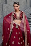 Jigar Mali_Red Organza, Chanderi Dori, Floral, Sequin V Neck Lehenga Set _Online_at_Aza_Fashions