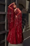 Shop_Jigar Mali_Red Butterfly Net Embellished Sequin Plunge Neck Gown For Women_at_Aza_Fashions