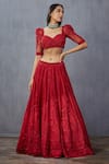 Buy_Torani_Red Lehenga Net Embroidered Floral Sweetheart Neck Surkh Mrinal Bridal Set _Online_at_Aza_Fashions