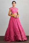 Torani_Pink Organza Rang Raani Gurleen Cropped Blouse_Online_at_Aza_Fashions