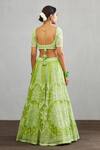 Shop_Torani_Green Organza Angoori Meher Paasa Lehenga_at_Aza_Fashions