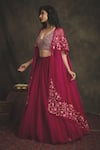 Nikita Vishakha_Pink Bralette Mesh Lehenga Net And Organza Cape Silk Rajshree Set With _Online_at_Aza_Fashions