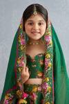 Buy_Torani_Green Handloom , , Satin, Chanderi Panna Mumtaz Lehenga Set _Online_at_Aza_Fashions