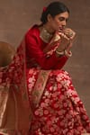 Buy_Kasturi Kundal_Red Akash Kusum Floral Zari Jangla Saree _Online_at_Aza_Fashions
