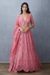 Torani_Pink Handwoven Chanderi Silk Organza Lehenga_Online_at_Aza_Fashions