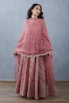 Buy_Torani_Pink Handwoven Chanderi Embroidered Gulbaag Sutlej Anarkali With Dupatta _Online_at_Aza_Fashions