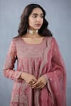 Torani_Pink Handwoven Chanderi Embroidered Gulbaag Sutlej Anarkali With Dupatta _at_Aza_Fashions