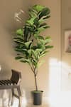 Buy_H2H_Green Polyester And Plastic Fiddle Leaf Artificial Plant _at_Aza_Fashions